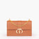 horse brown Luna Adjustable Chain Strap Crossbody Bag